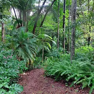 Holiday home Rainforest Retreat-fireplace-bbq-3 Acres-, Nambour